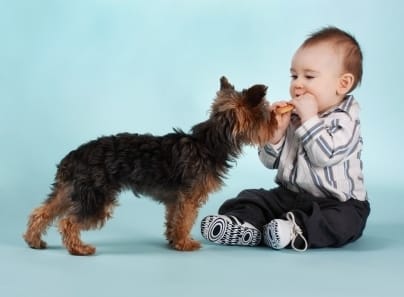 Baby and a dog