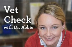 Dr Abbie Vet Check