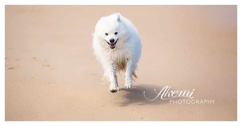 Keiko at the Beach 2