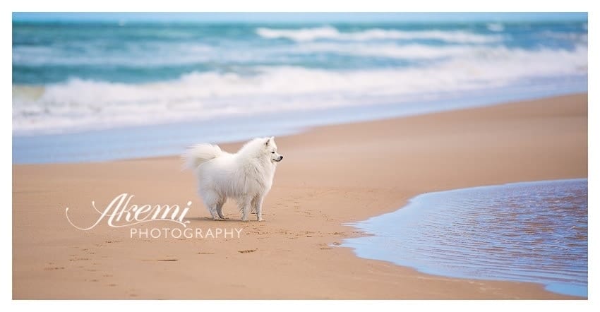 Keiko at the Beach 3