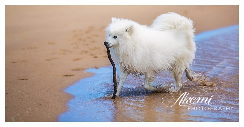 Keiko at the Beach 5