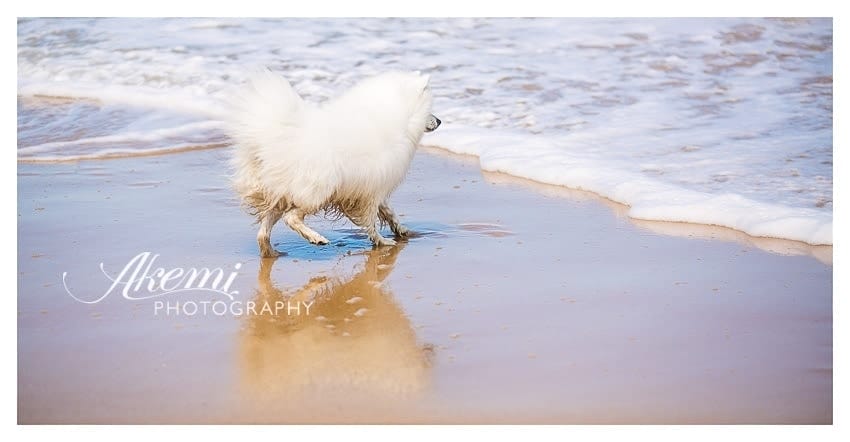 Keiko at the Beach 7