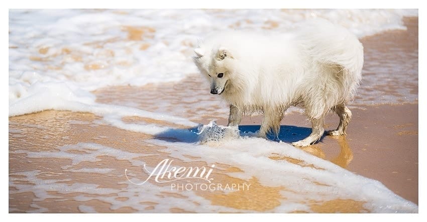 Keiko at the Beach 8