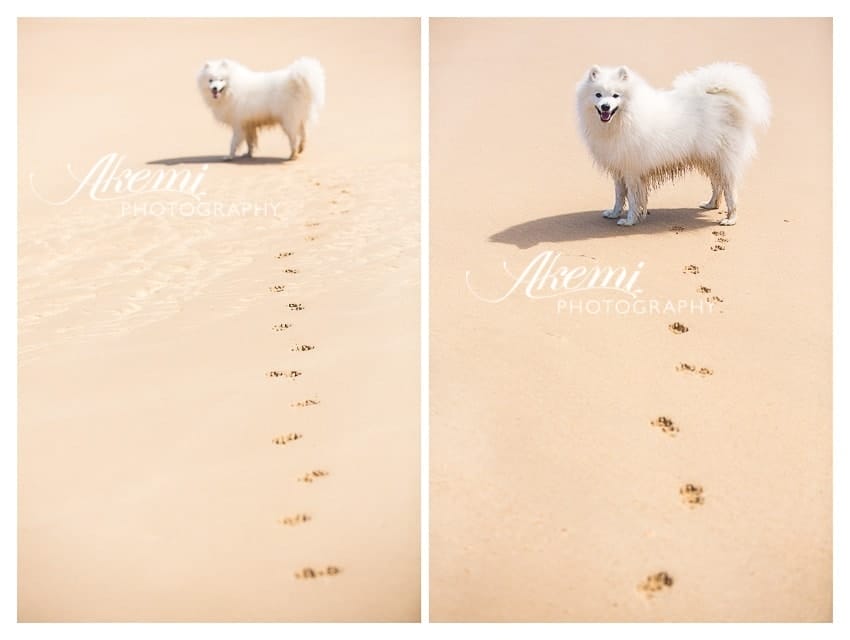 Keiko at the Beach 9