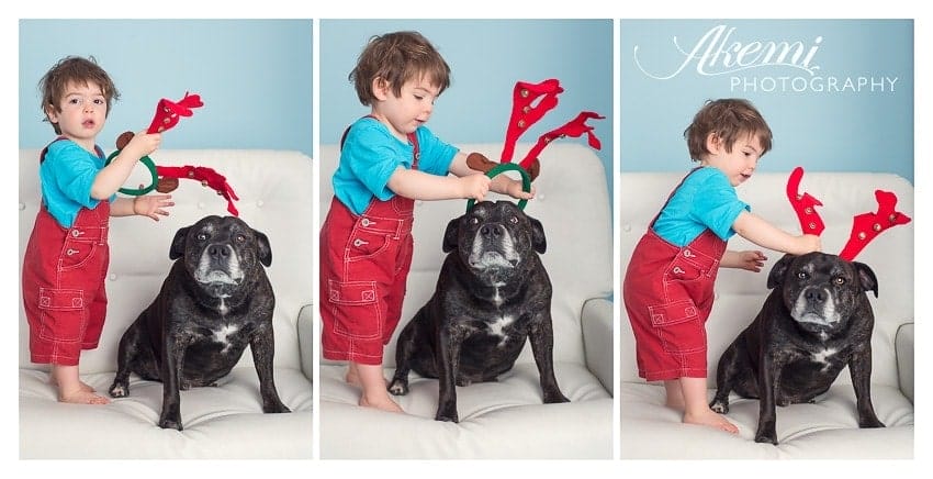 christmas-photos-with-kids-and-pets