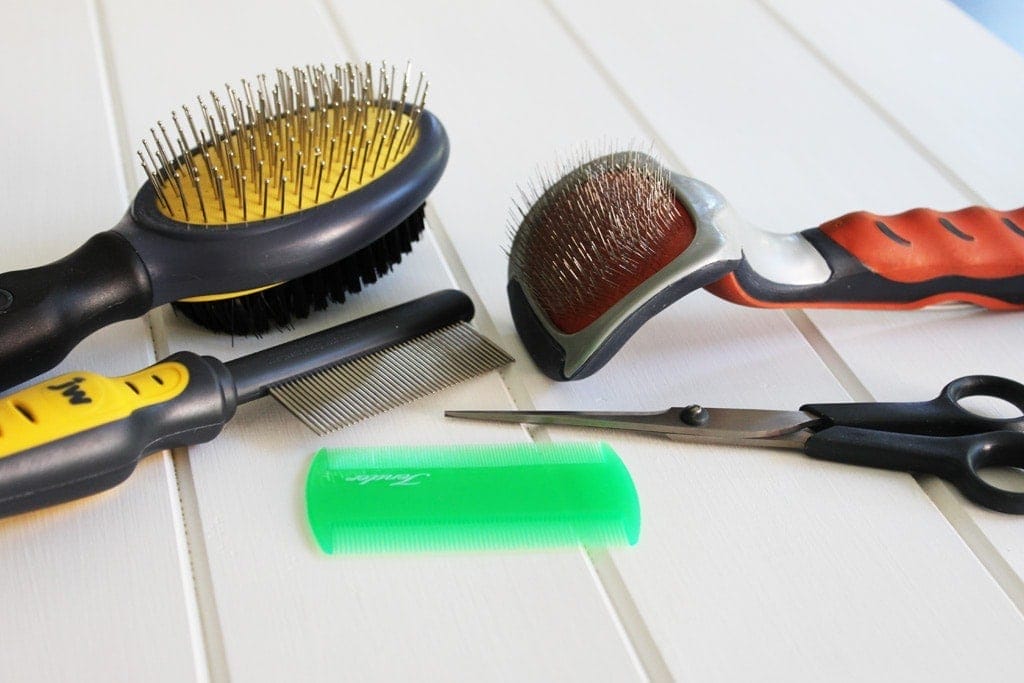 A selection of brushes and other tools to help groom your dog