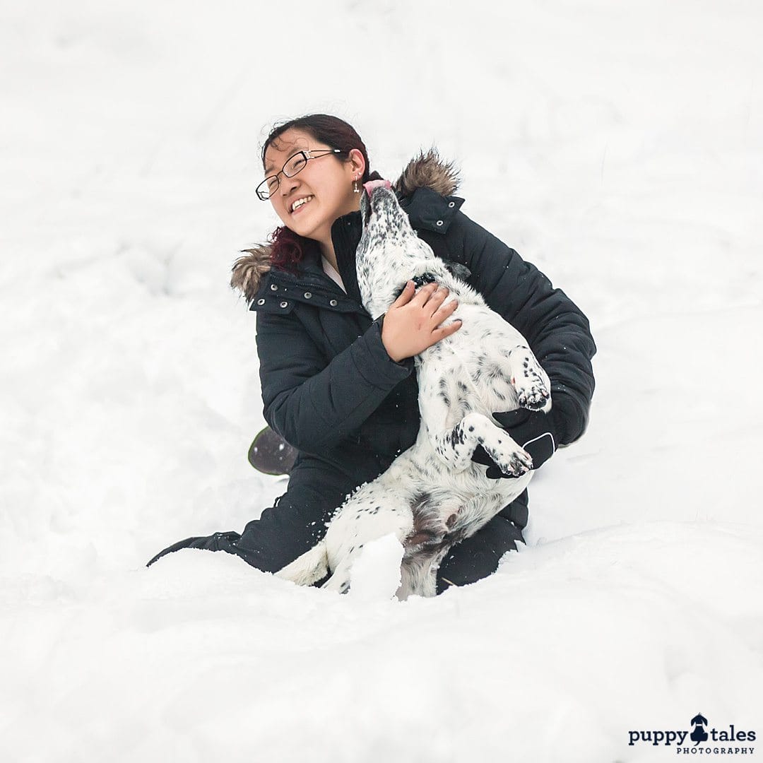 puppytalesphotography cattledog spock at the snow 6