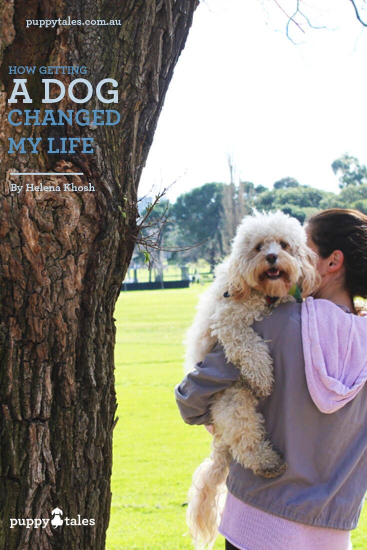 Pinterest graphic for Puppy Tales article on their website about How a Dog Changed My Life