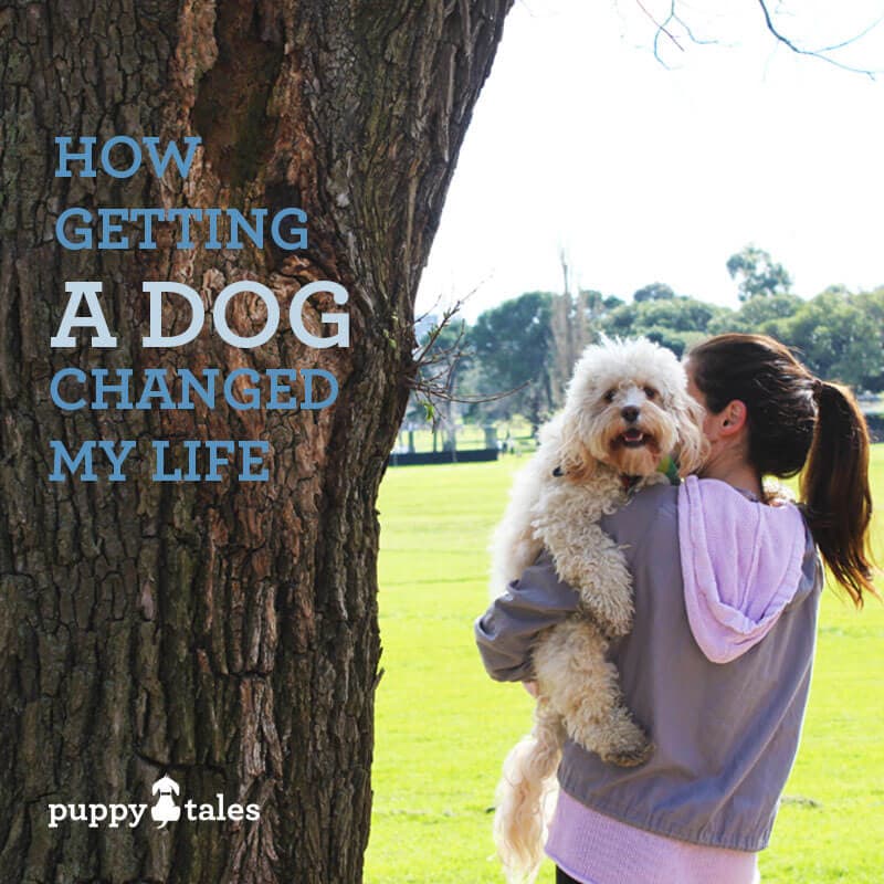 Title graphic for How Getting a Dog Changed My Life, a blog article of Puppy Tales