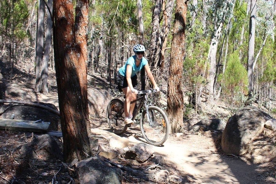 Bike riding with your dog