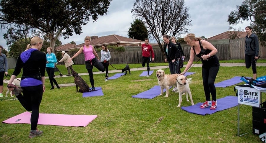 Barxercise with your dog