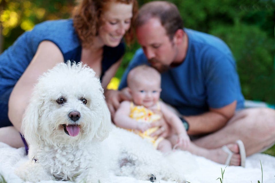 Family with their dog