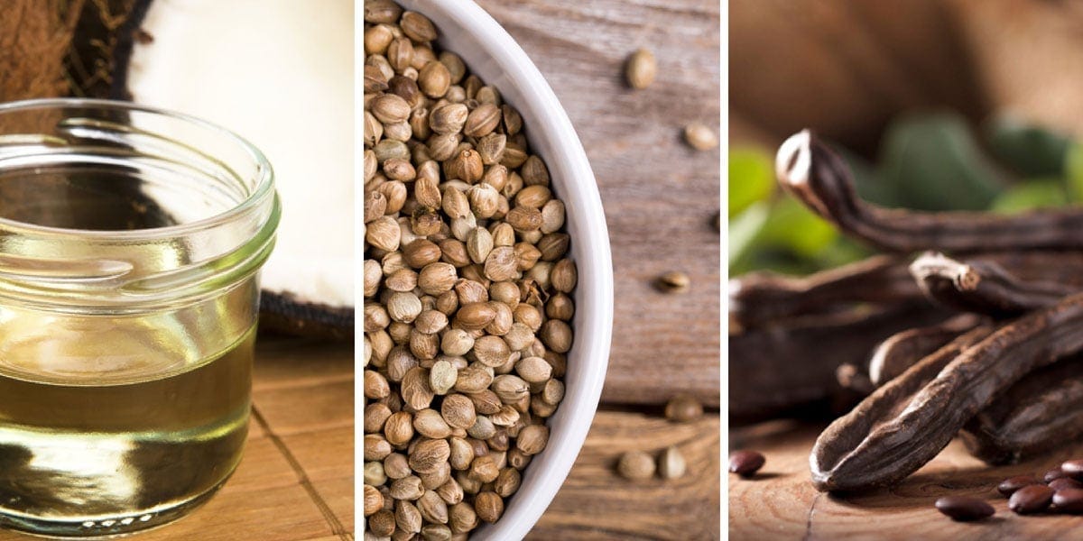 Carob, Chia Seeds and Coconut Oil for your dog's health