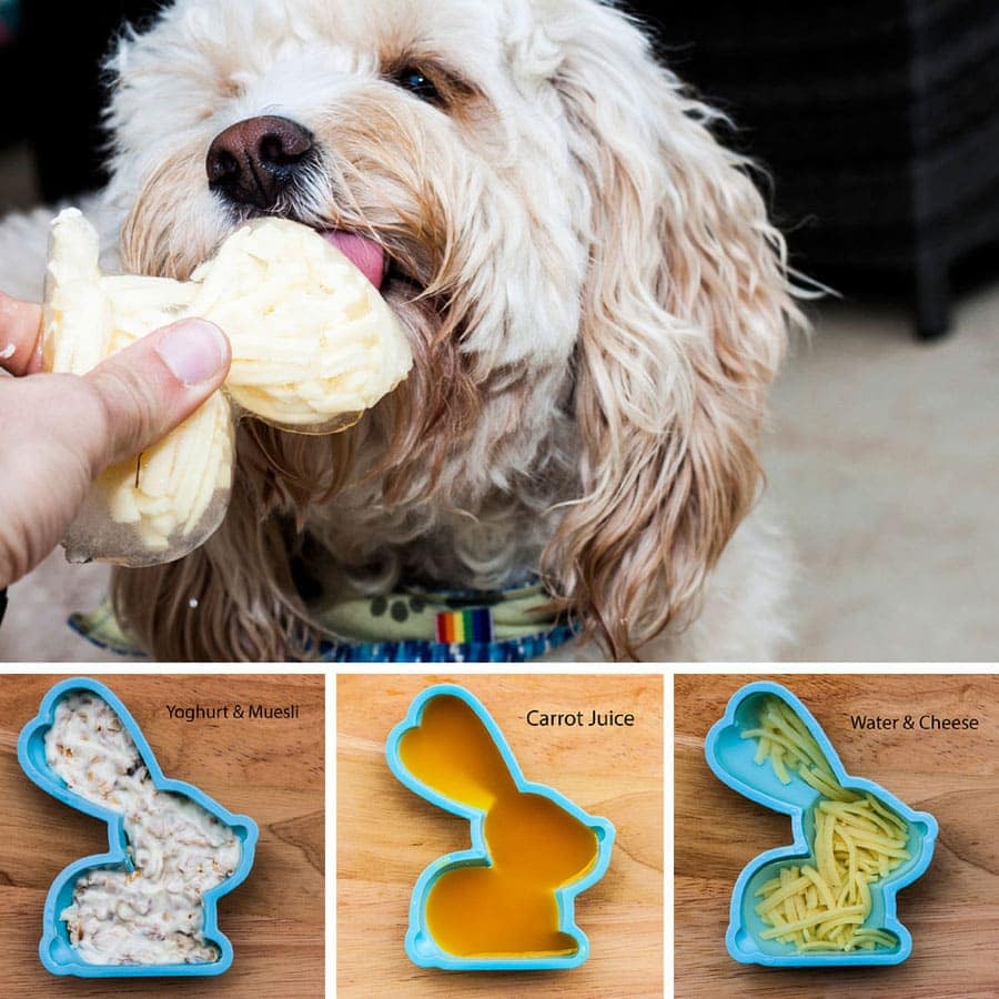 Homemade dog treats