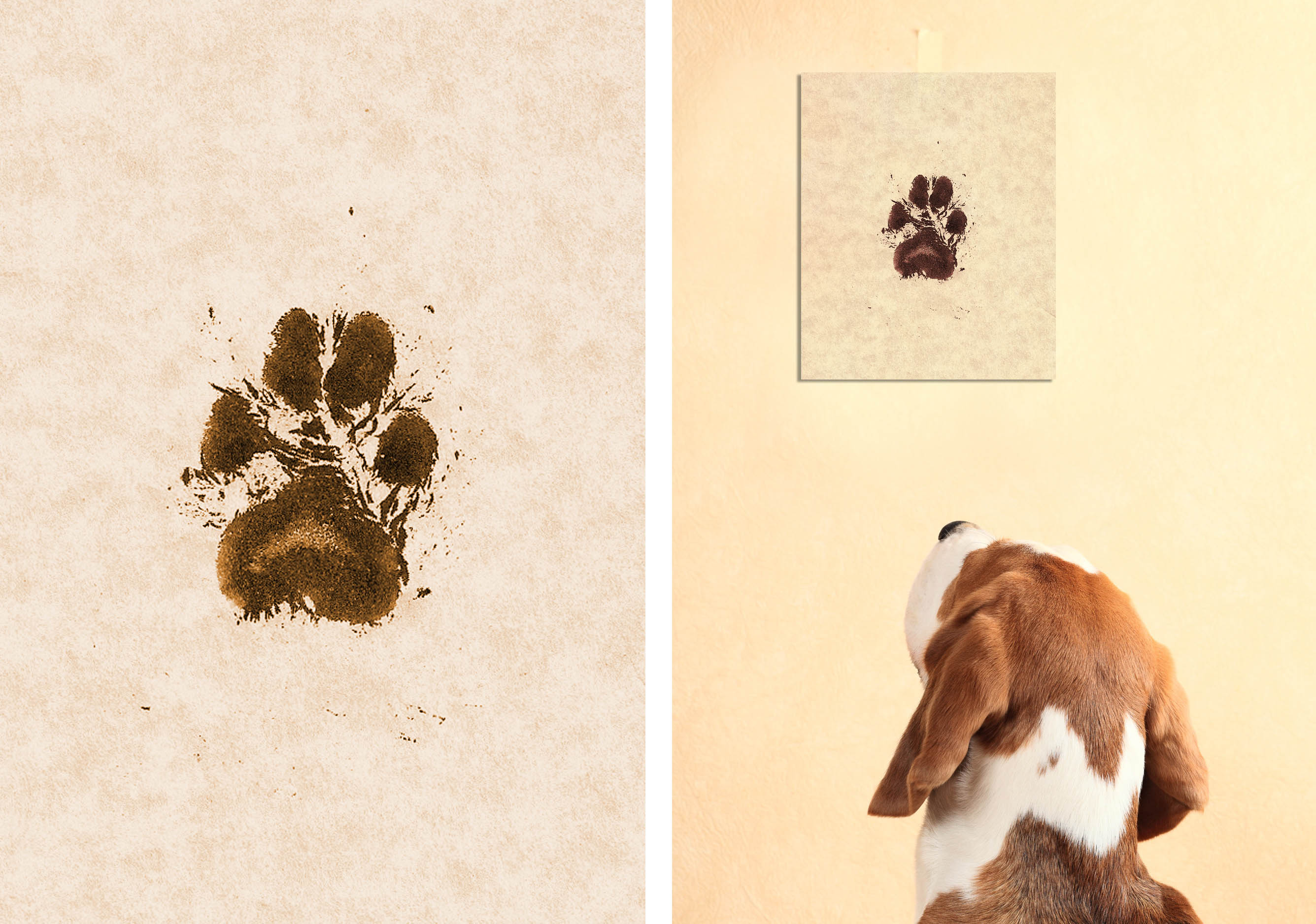 dog paw print painting