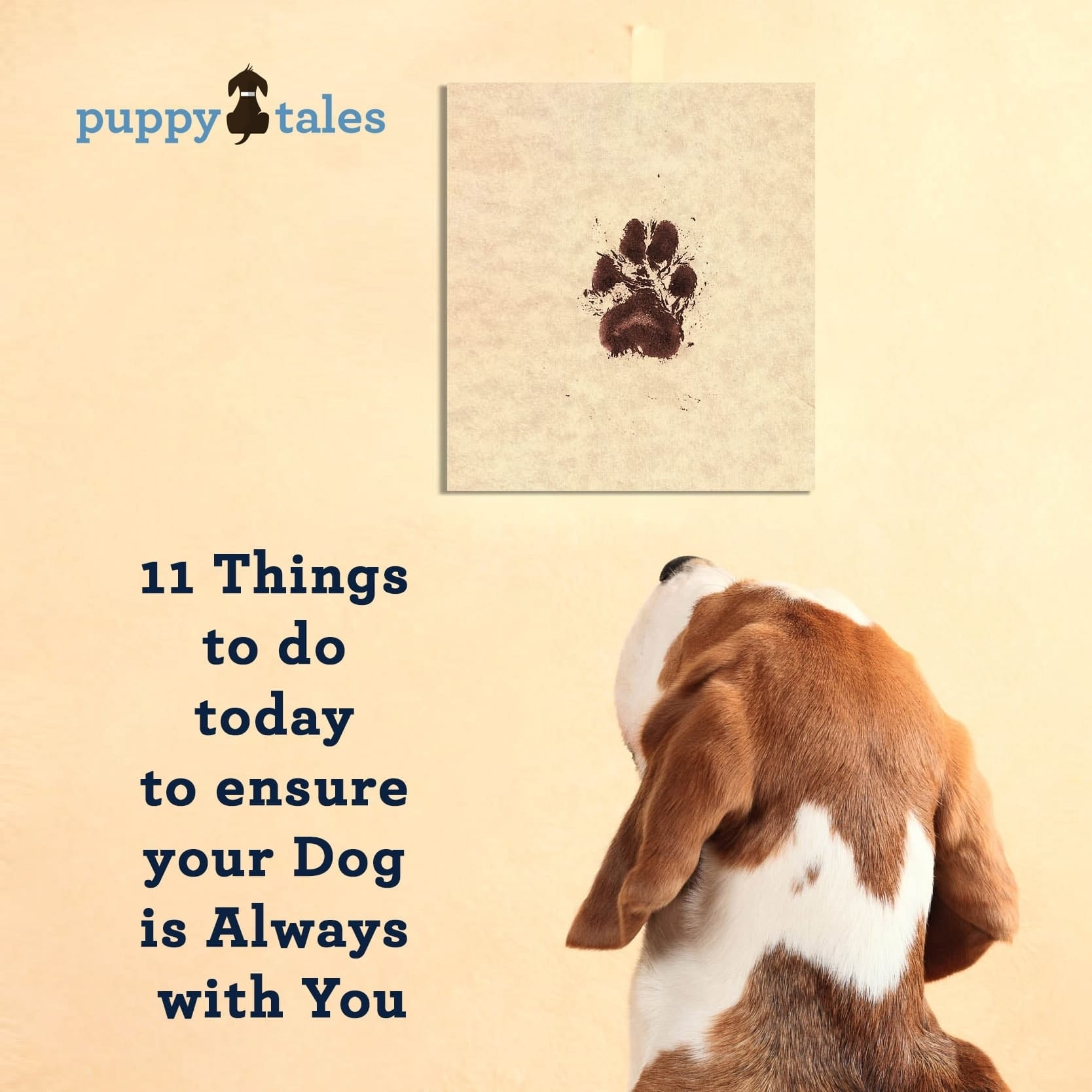 11 Things to do today to ensure your dog is always with you