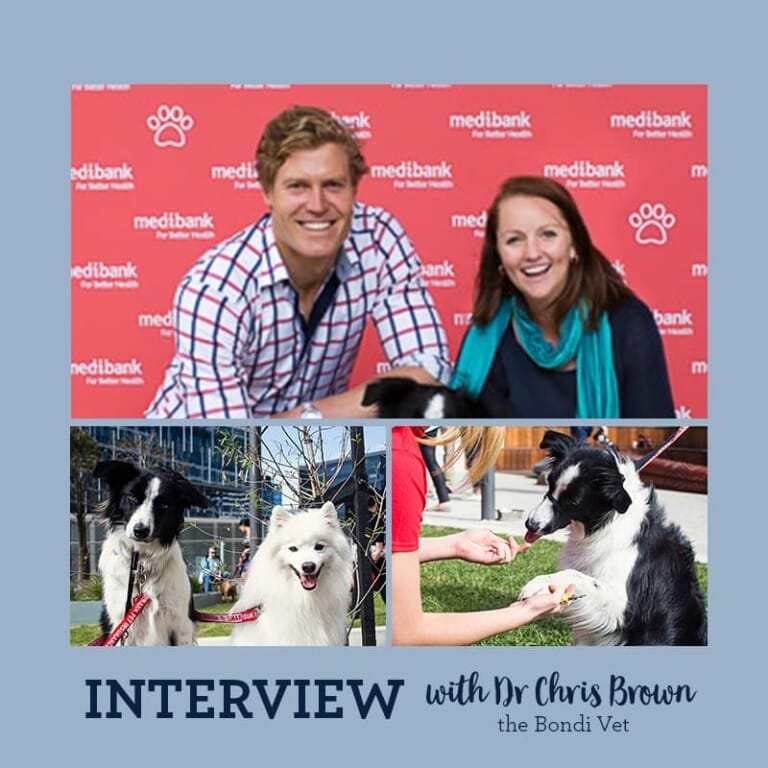 Interview with Dr Chris Brown, the Bondi Vet Puppy Tales