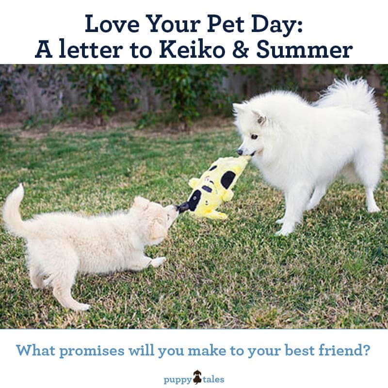 A Letter to Keiko Summer