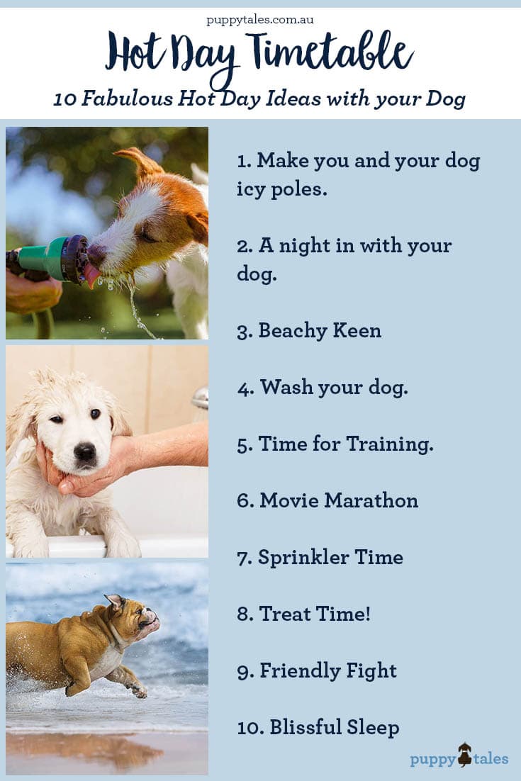 Pinterest graphic about the 10 Fabulous Hot Day Ideas with your Dog