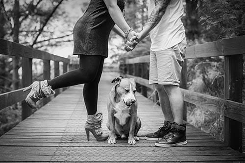 A dog makes for a great “canine cupid”. For those dog owners who are currently single, a dog has a knack of making you meet new people. And for those in a relationship, a dog provides a common interest that strengthens and enriches your partnership.