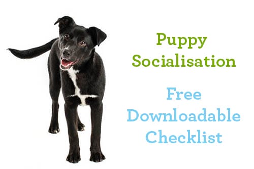 Puppy Socialisation Checklist Preview