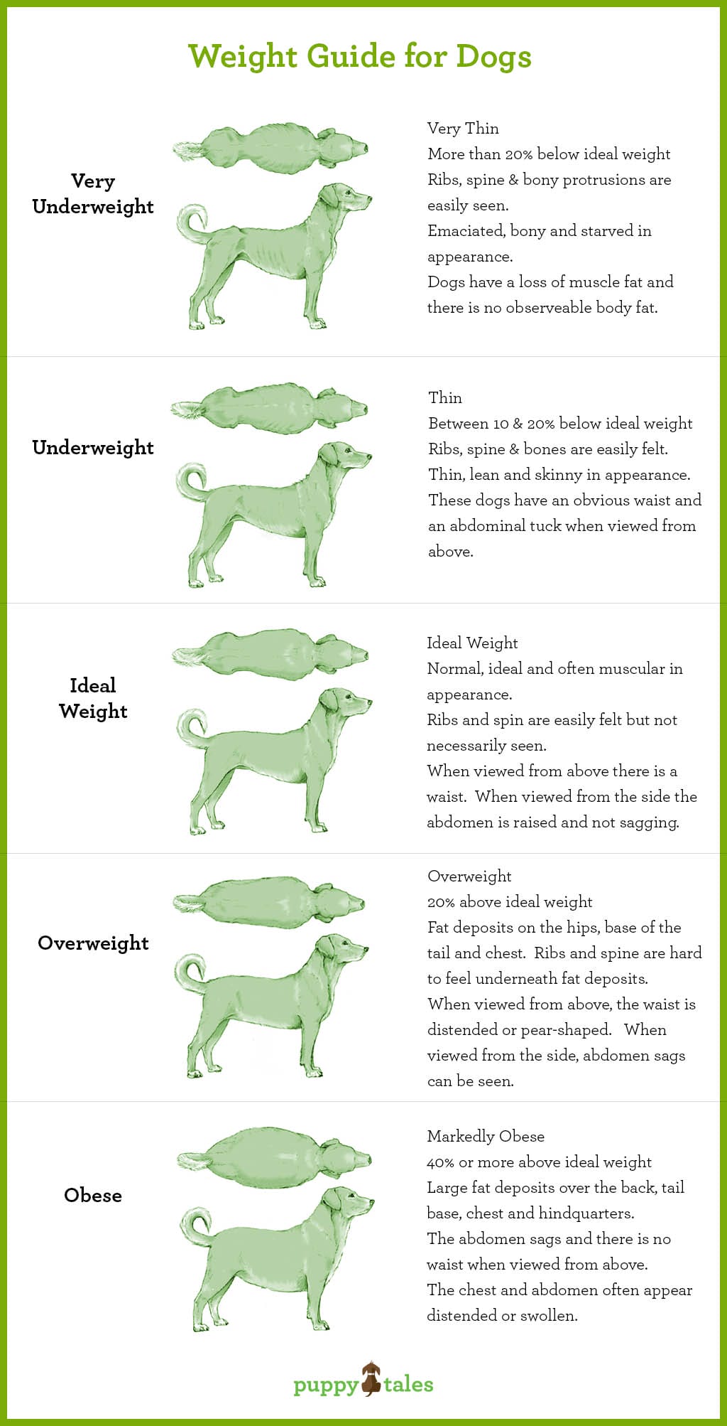 Canine Obesity And How To Avoid Your Dog Passing Away Before It S Time Puppy Tales