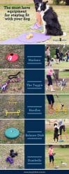 Pinterest Graphic for the Must Have Equipment for staying fit with your dog