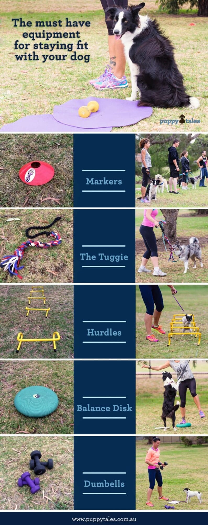 Pinterest Graphic for the Must Have Equipment for staying fit with your dog