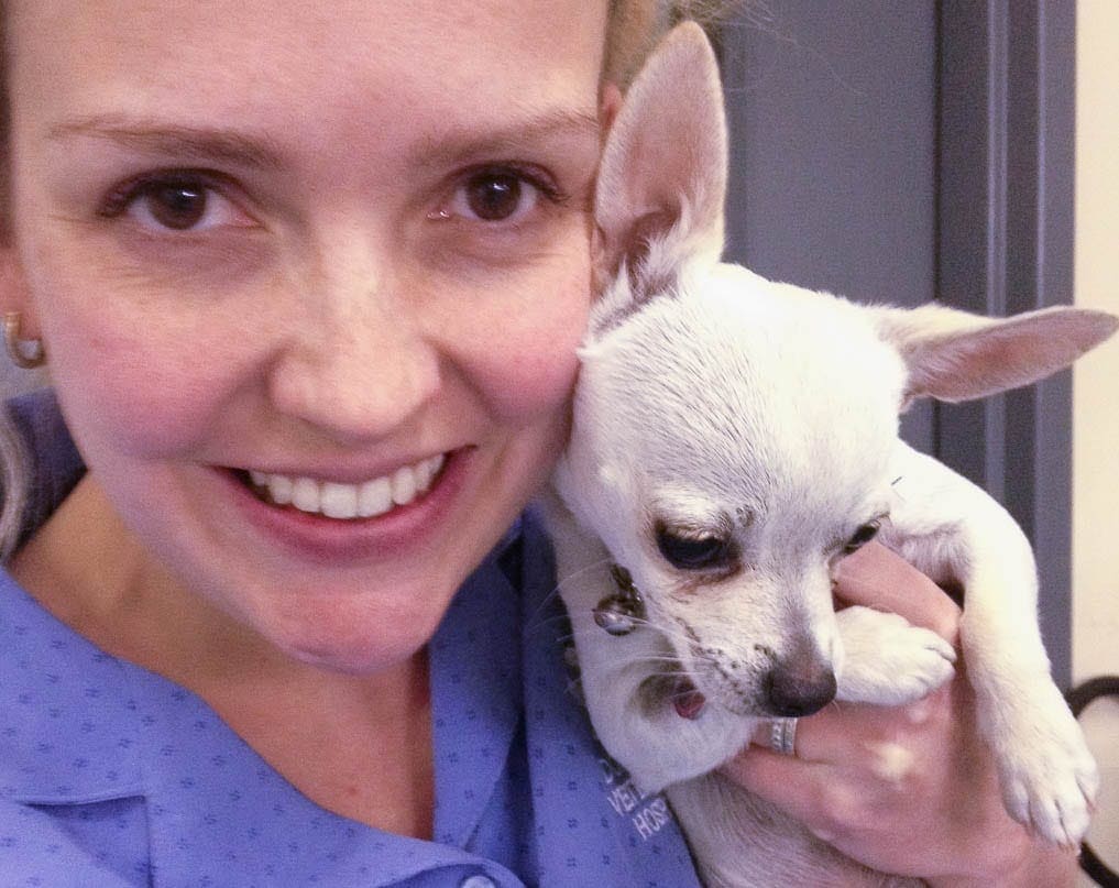 7 Things I Love About Being a Veterinarian