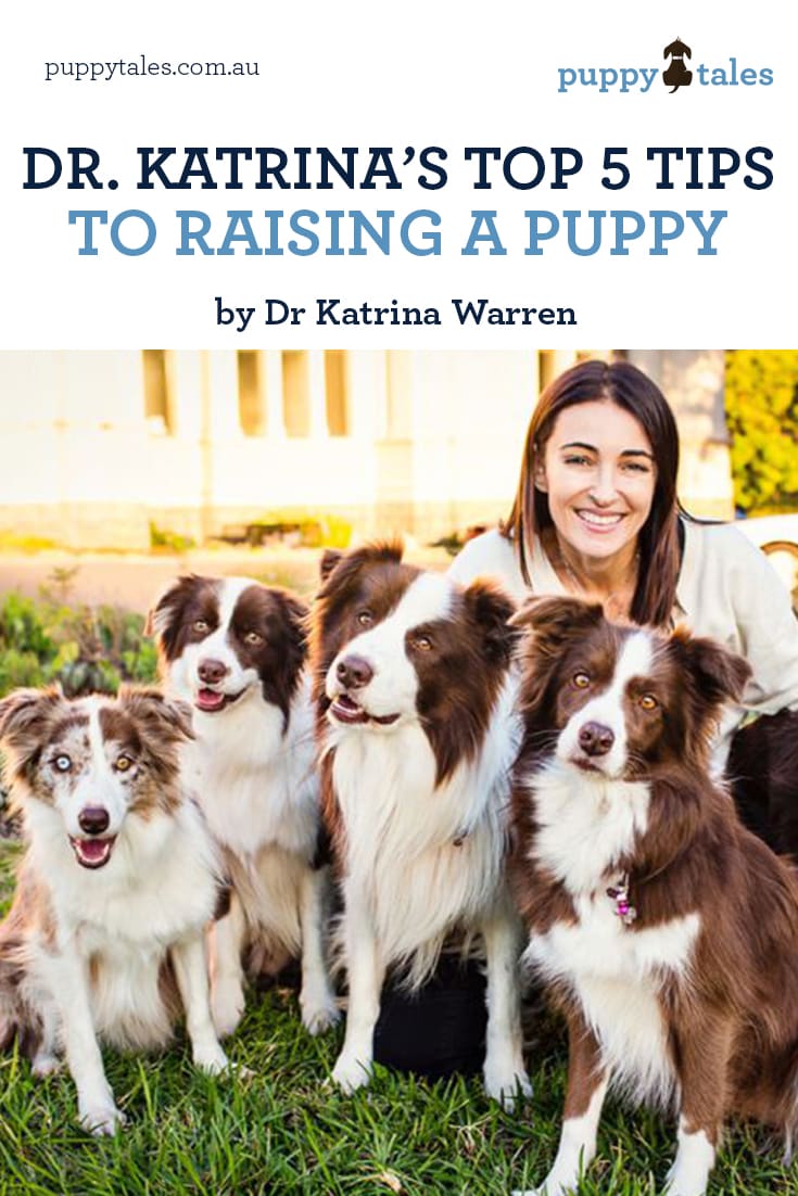 Pinterest Graphic of Dr Katrina with dogs for her article on Top 5 Tips to Raising A Puppy