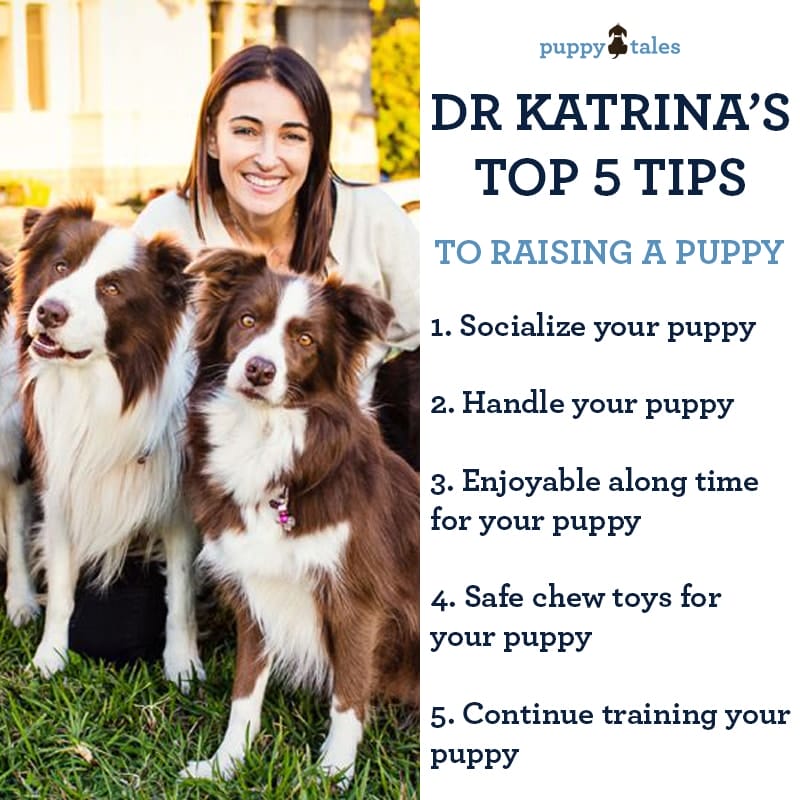 Dr Katrinas Top 5 Tips to Raising a Puppy 2 1