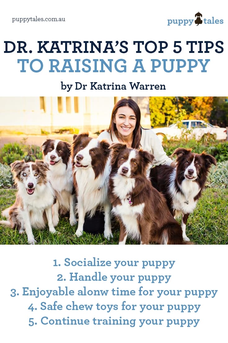 Pinterest graphic for the article of Dr Katrina's Top 5 Tips to Raising a Puppy.