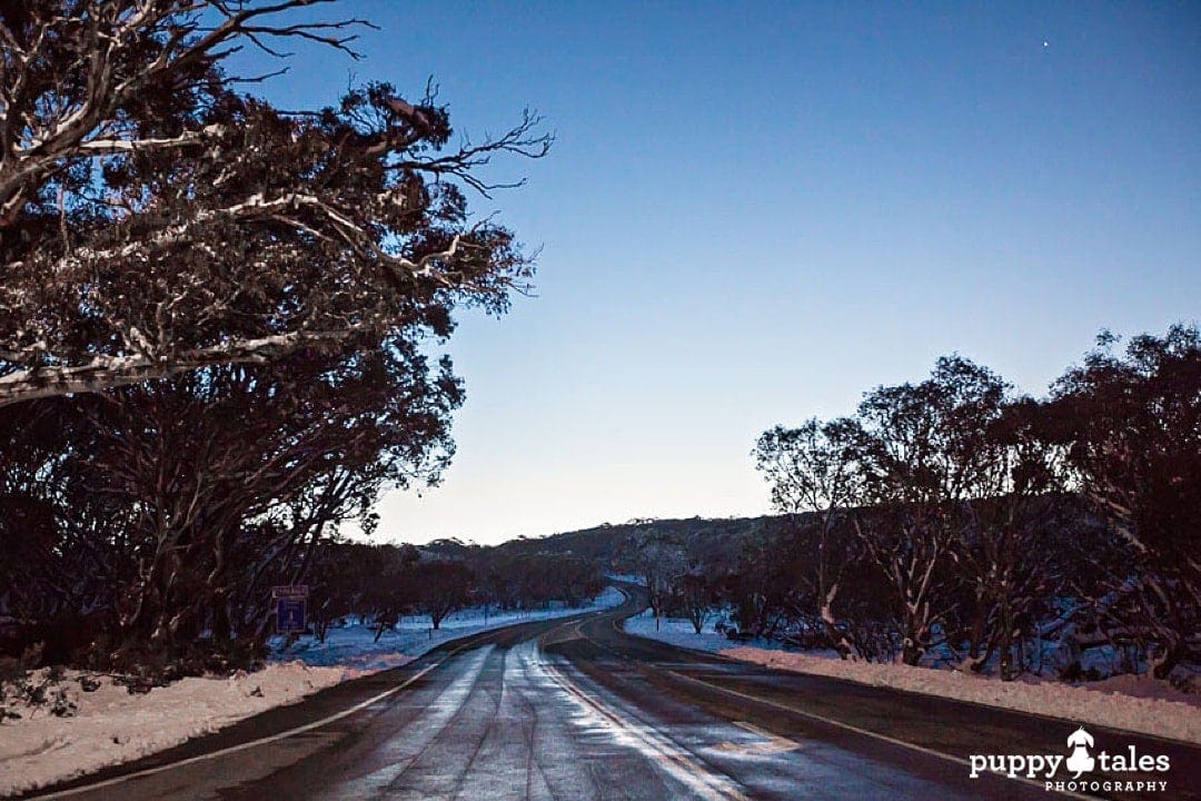 puppyphotography road over mount hotham 1