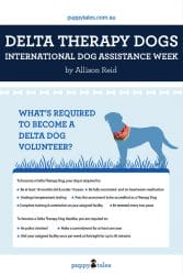 Pinterest graphic for Delta Therapy Dog International Dog Assistance Week