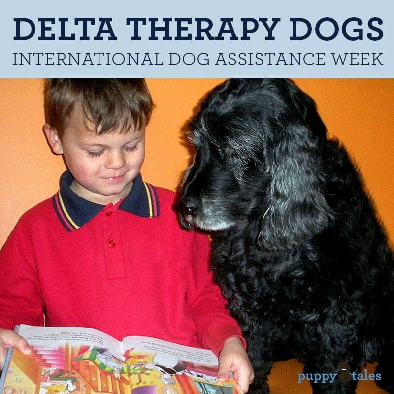 Title graphic for Puppy Tales blog about Delta Therapy Dogs
