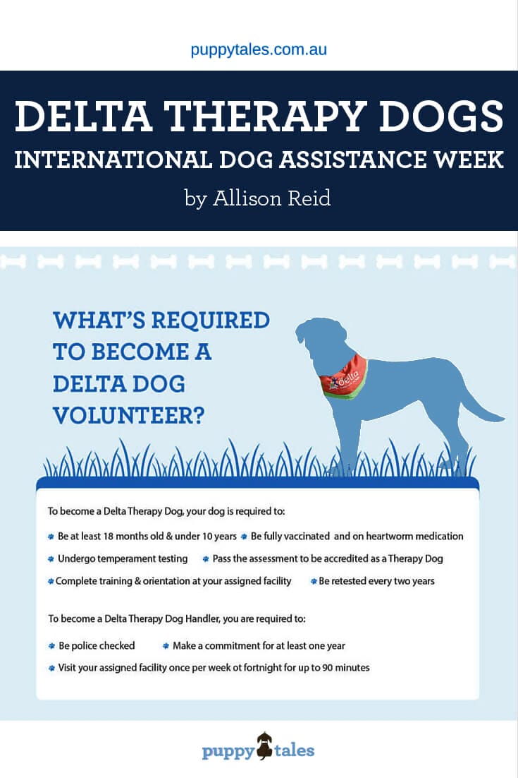 Pinterest graphic for Delta Therapy Dog International Dog Assistance Week
