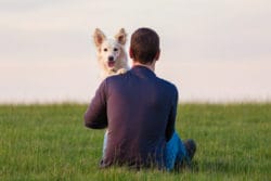 Dog-Loving Dads: 5 Paws-ome Ideas for a Fur-bulous Father’s Day