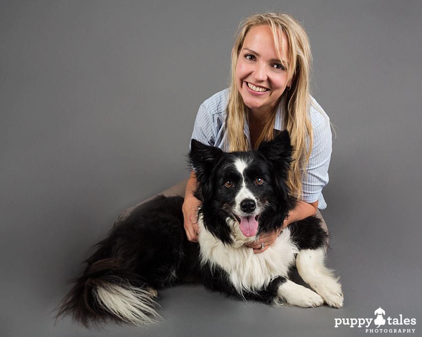 Black and white dog posing with a human who is a veterinarian. This photo on a grey background was taken for Puppy Tales article. 