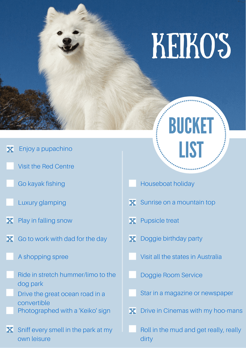 Bucket List Template 1