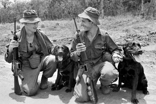 Tracker Dogs A Profile of War Heroes Feature