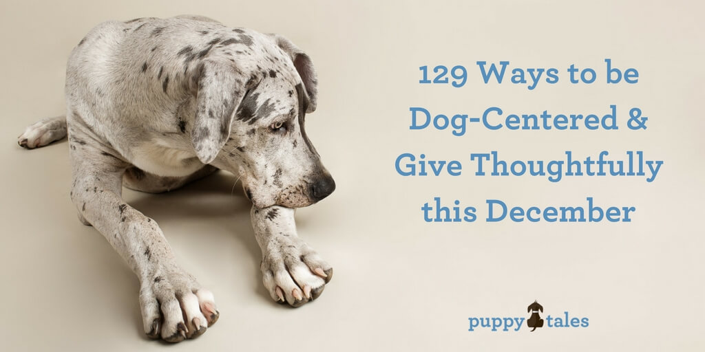 129 Ways to be Dog-Centered and Give Thoughtfully this December