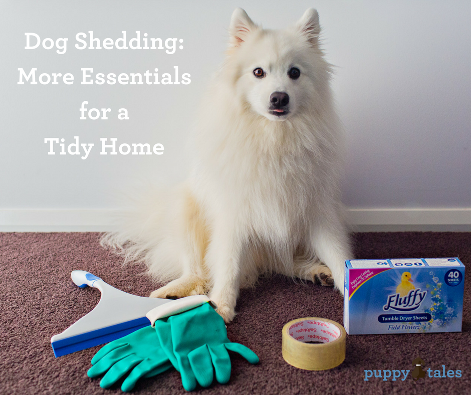 Dog Shedding: More Essentials for a Tidy Home