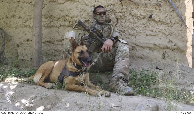 Service dogs of the Afghan War: Xena