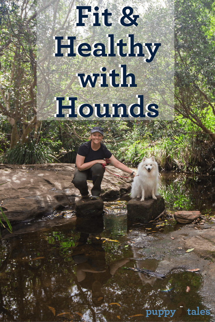 Fit & Healthy with Hounds