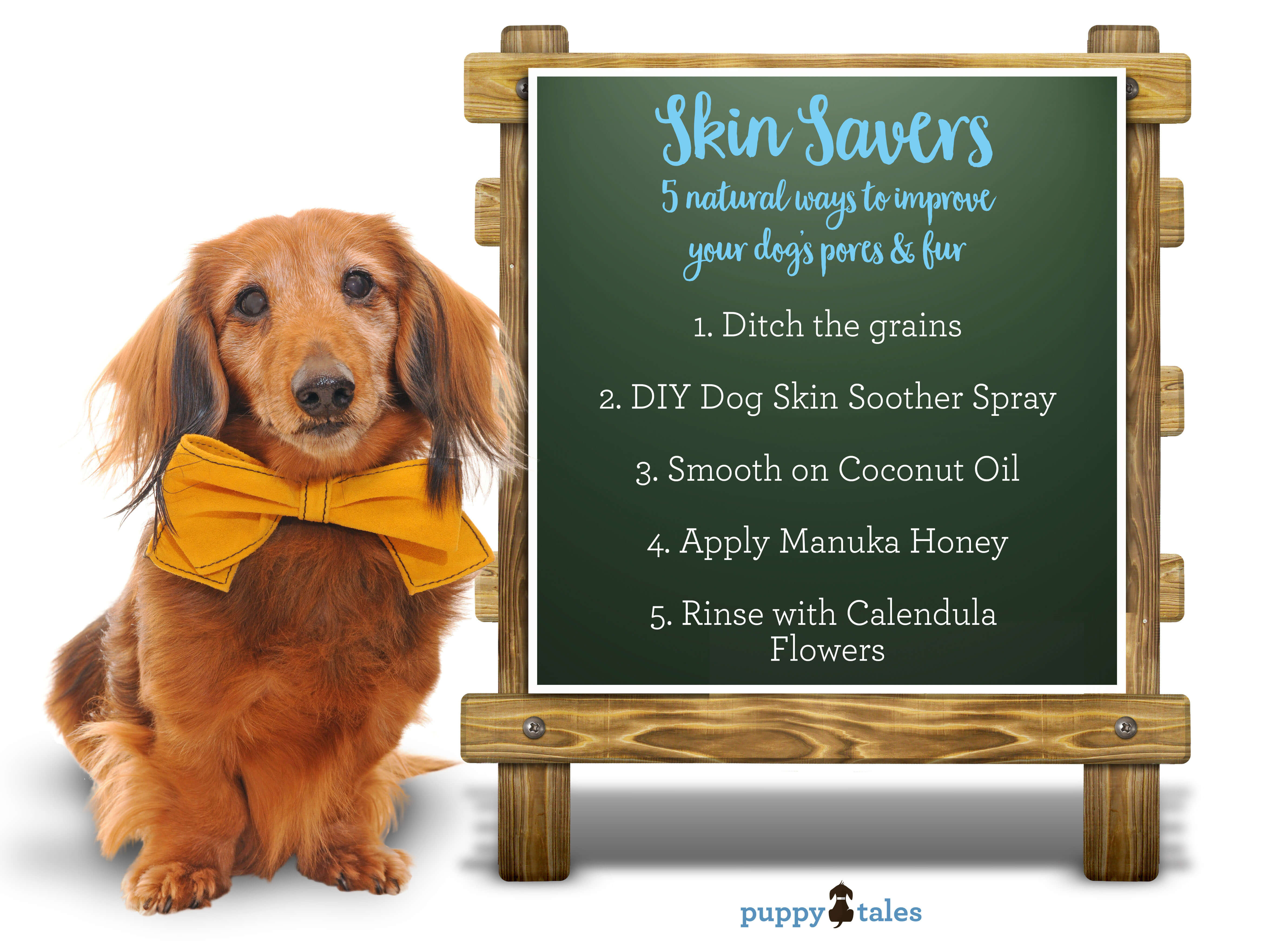 Skin Savers - 5 natural way to improve your dog's pores & fur