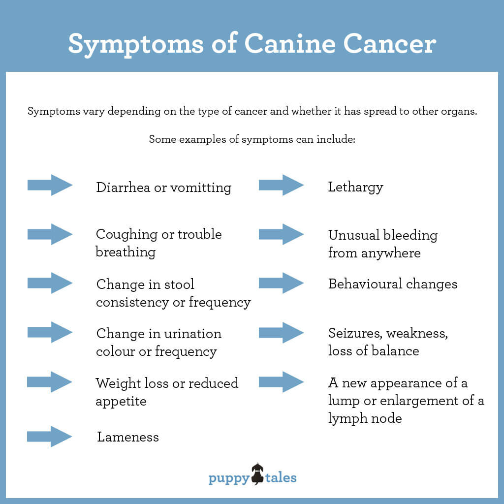 is cancer painful for dogs