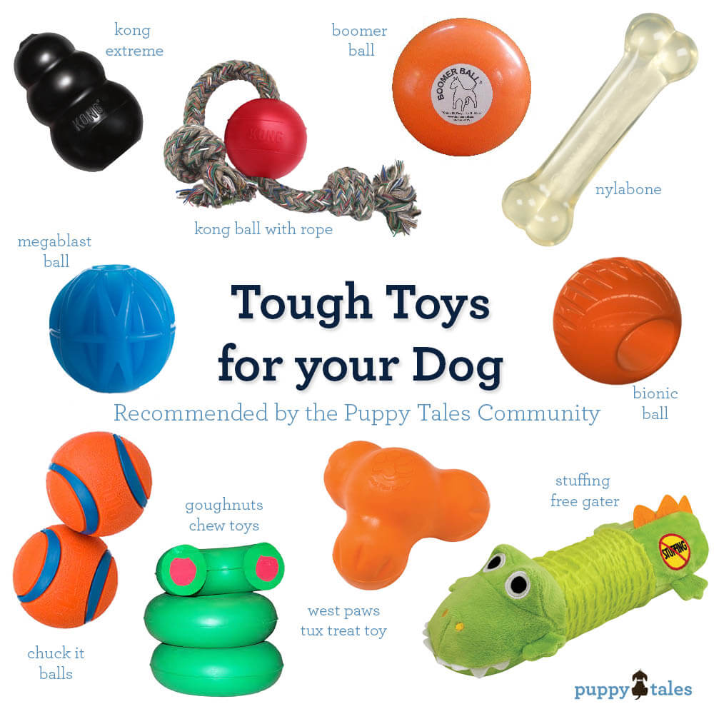 recommended chew toys for puppies