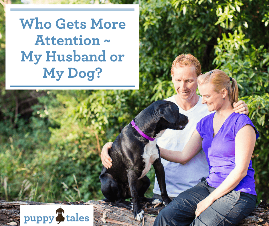 Who Gets More Attention – My Husband or My Dog?