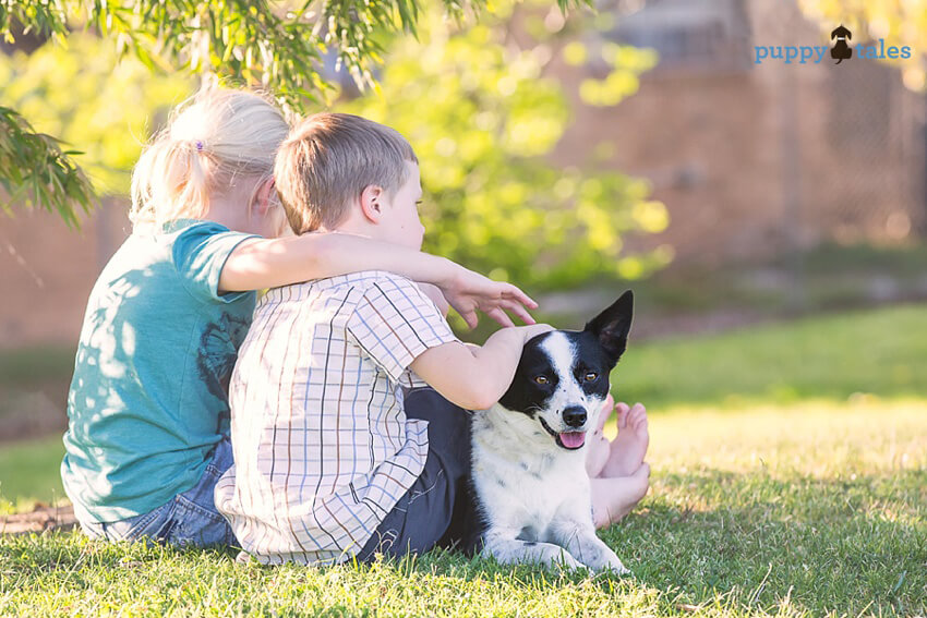 February 20th is ‘Love Your Pet Day’. How will you mark the day with your beloved dog?