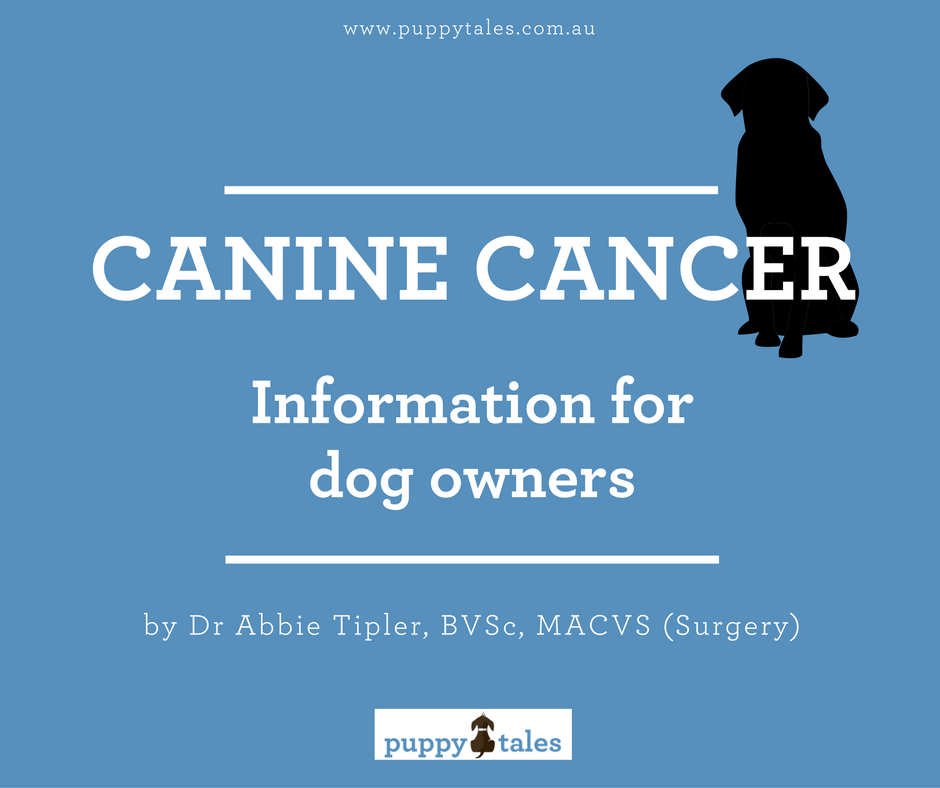 Canine Cancer – Information for dog owners